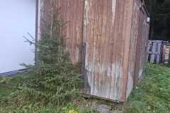 IMG-20241102-WA0002