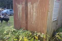 IMG-20241102-WA0003