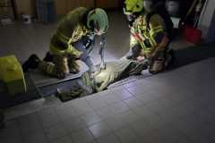 IMG-20260725-WA0006
