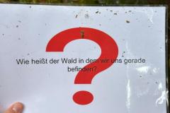 schnitzeljagd_3
