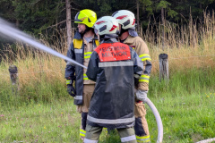 PXL_20250801_173332299