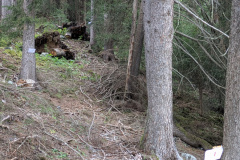 PXL_20260908_124123455
